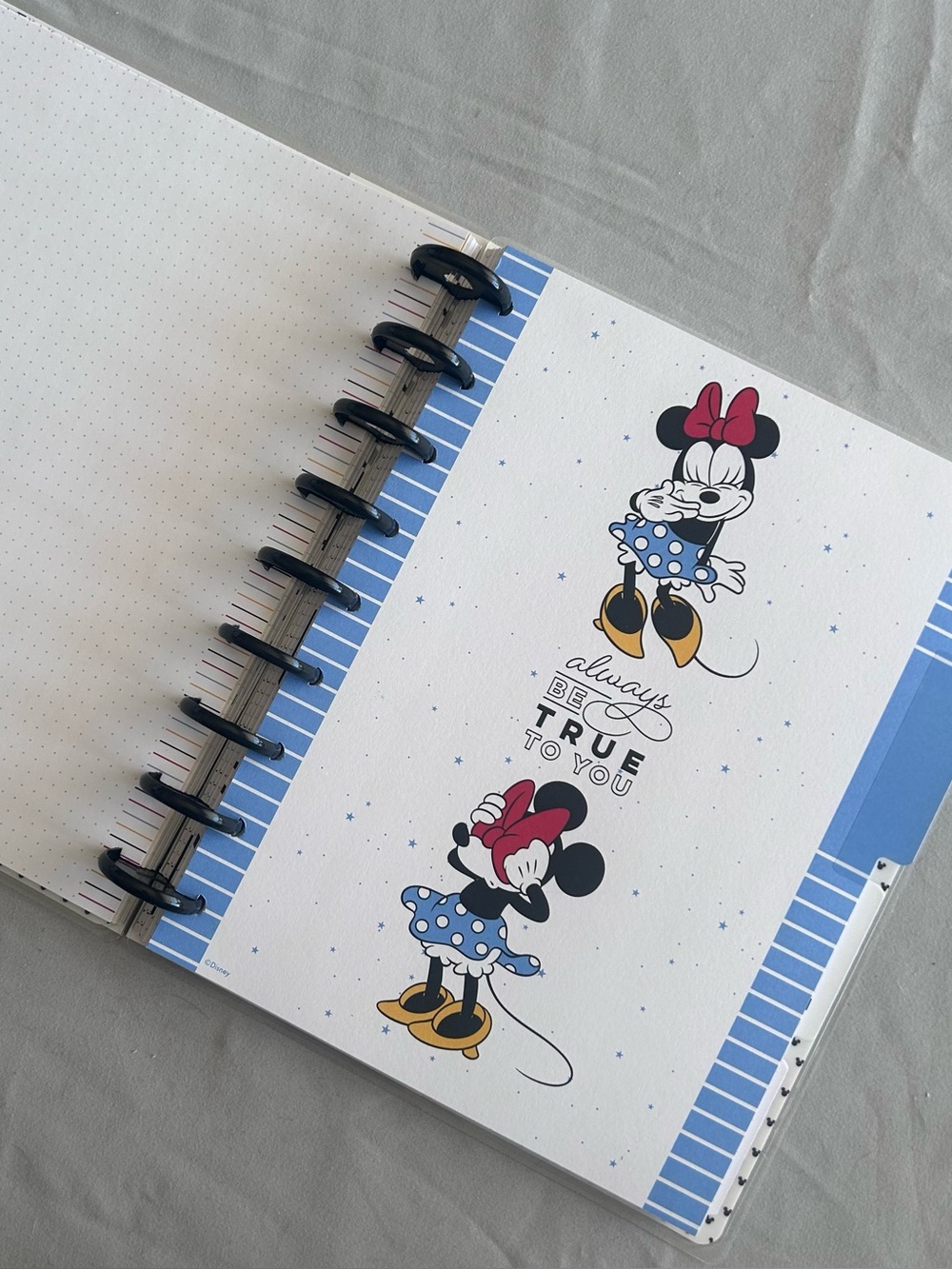 Mickey & Minnie Happy Planner - Picture 3 of 4